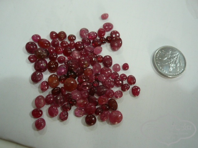 P1050963.JPG
