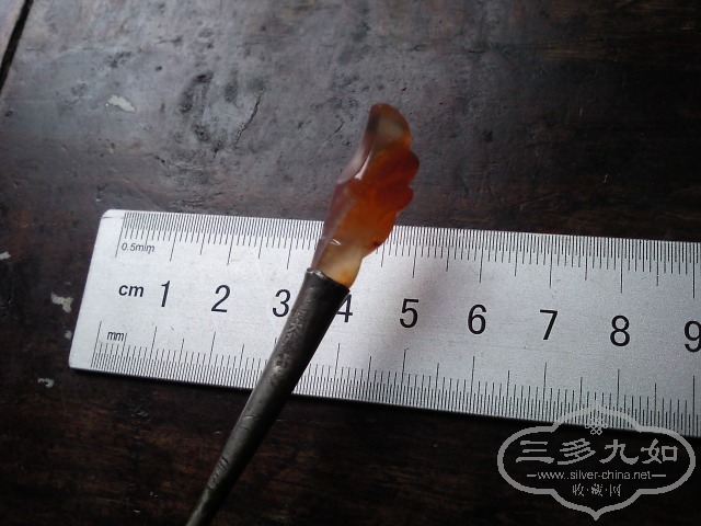 SNC03472.jpg