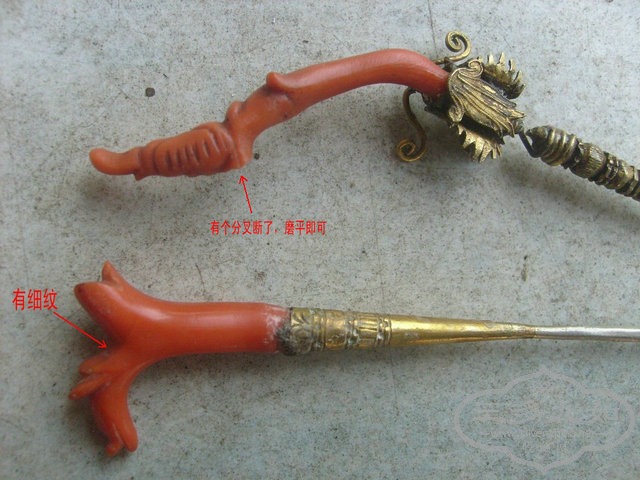 S7308929.jpg