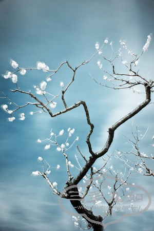 T11rJtXDFgXXXXXXXX_!!140264701-0-pix.jpg