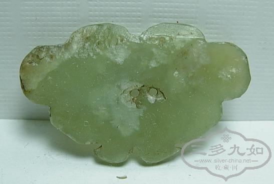 DSCN8494.jpg