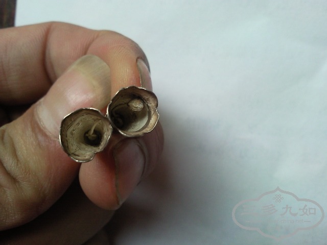 SNC04228.jpg