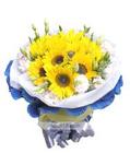 u=3841226550,305998496&fm=0&gp=0.jpg