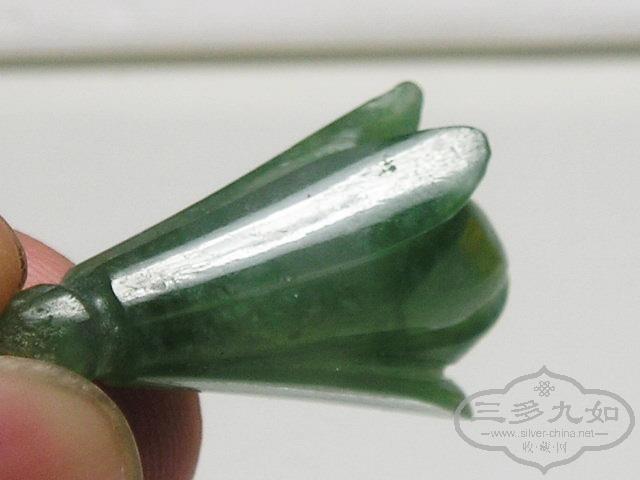 P1010046.jpg