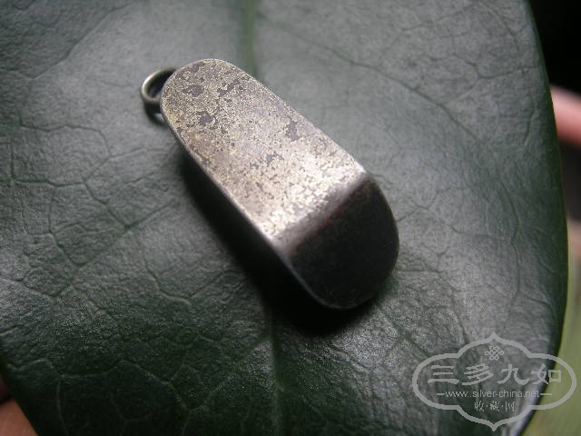 DSCN0808.JPG