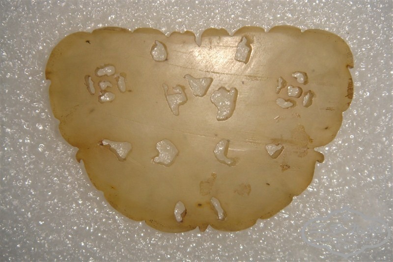 35.jpg