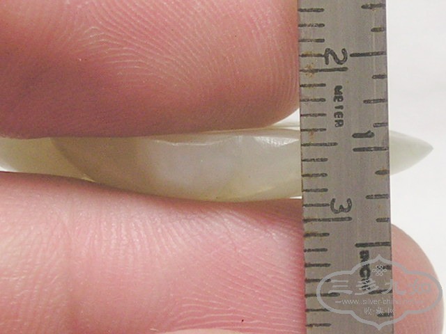 P1010029.jpg