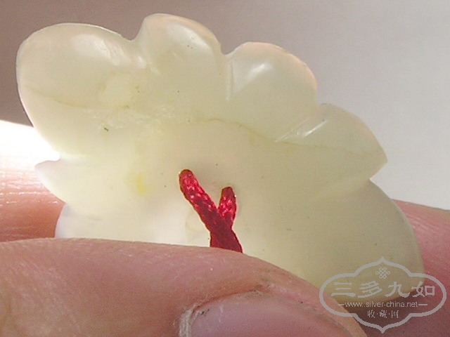 P1010039.jpg
