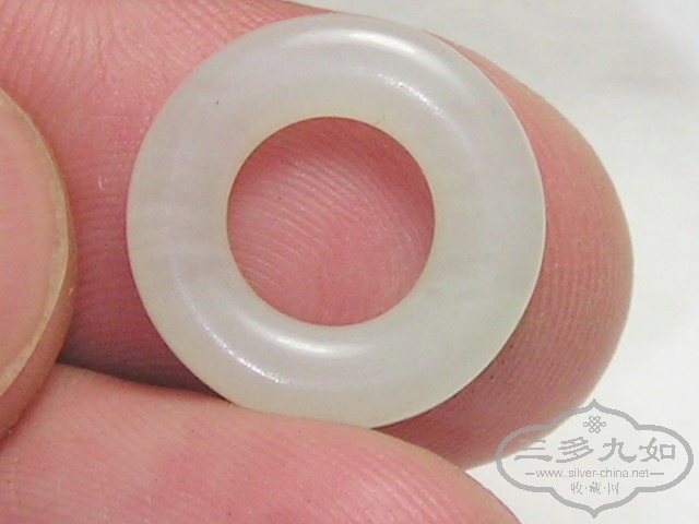 P1010014.jpg