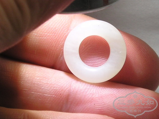P1010020.JPG
