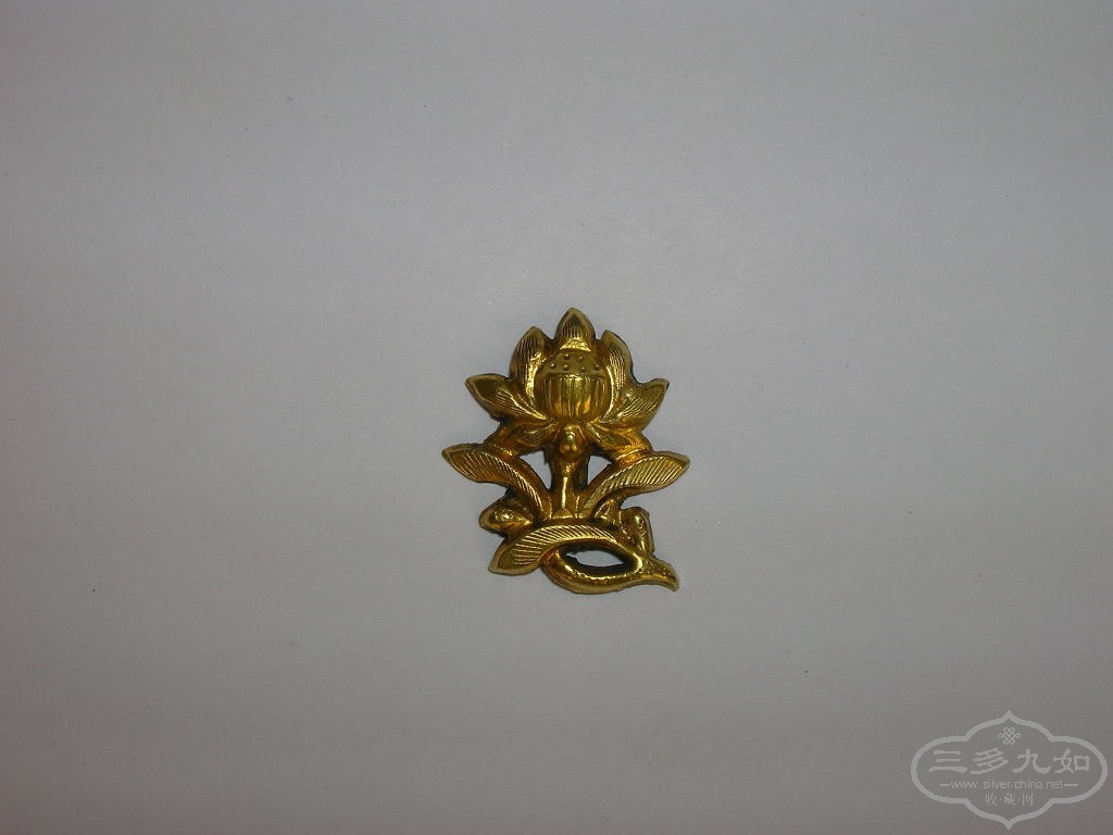 DSCN96543.JPG