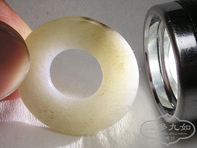 P1010011.jpg