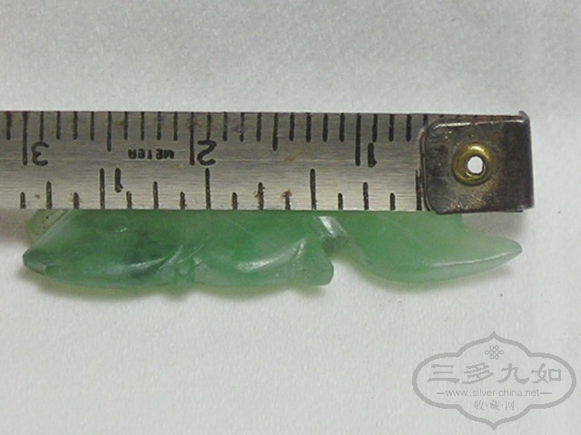 P1010025.jpg