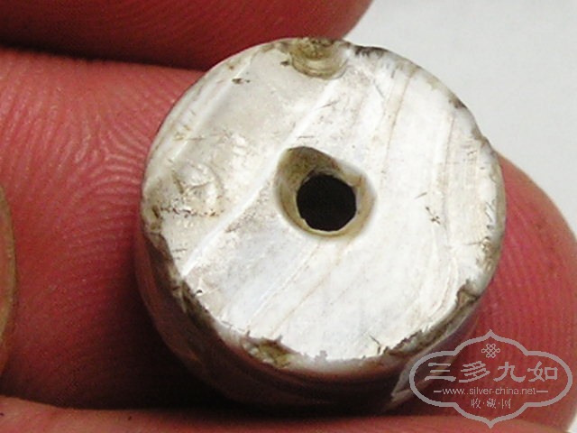 P1010037.jpg