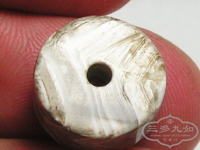 P1010038.jpg