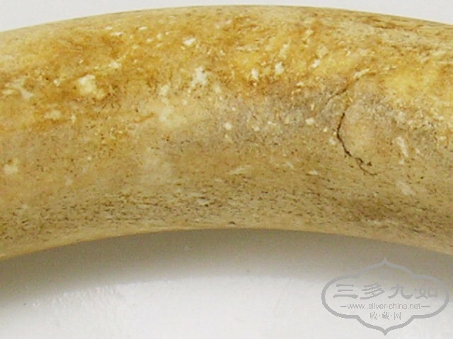 P1010083.jpg
