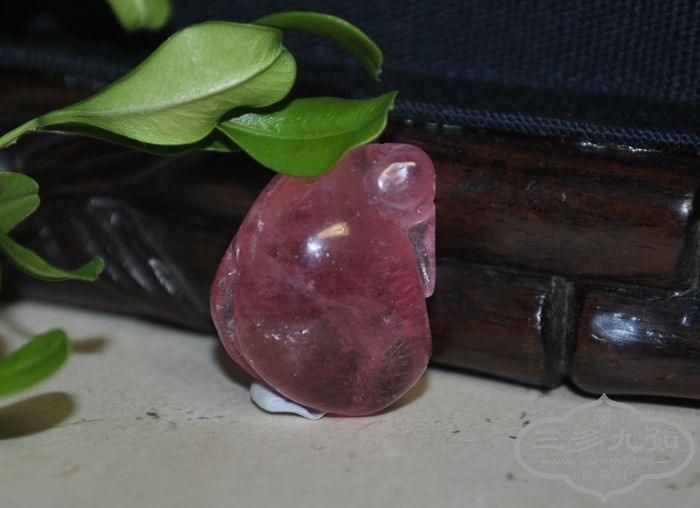 DSC_8838.jpg