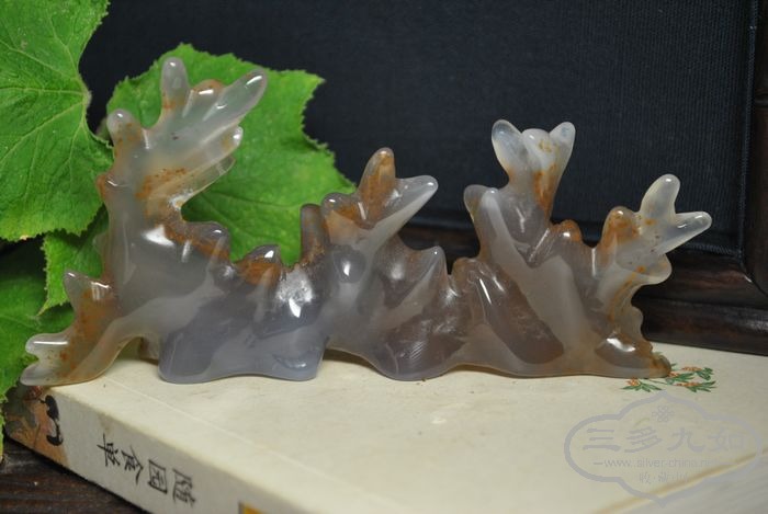 DSC_9023.jpg