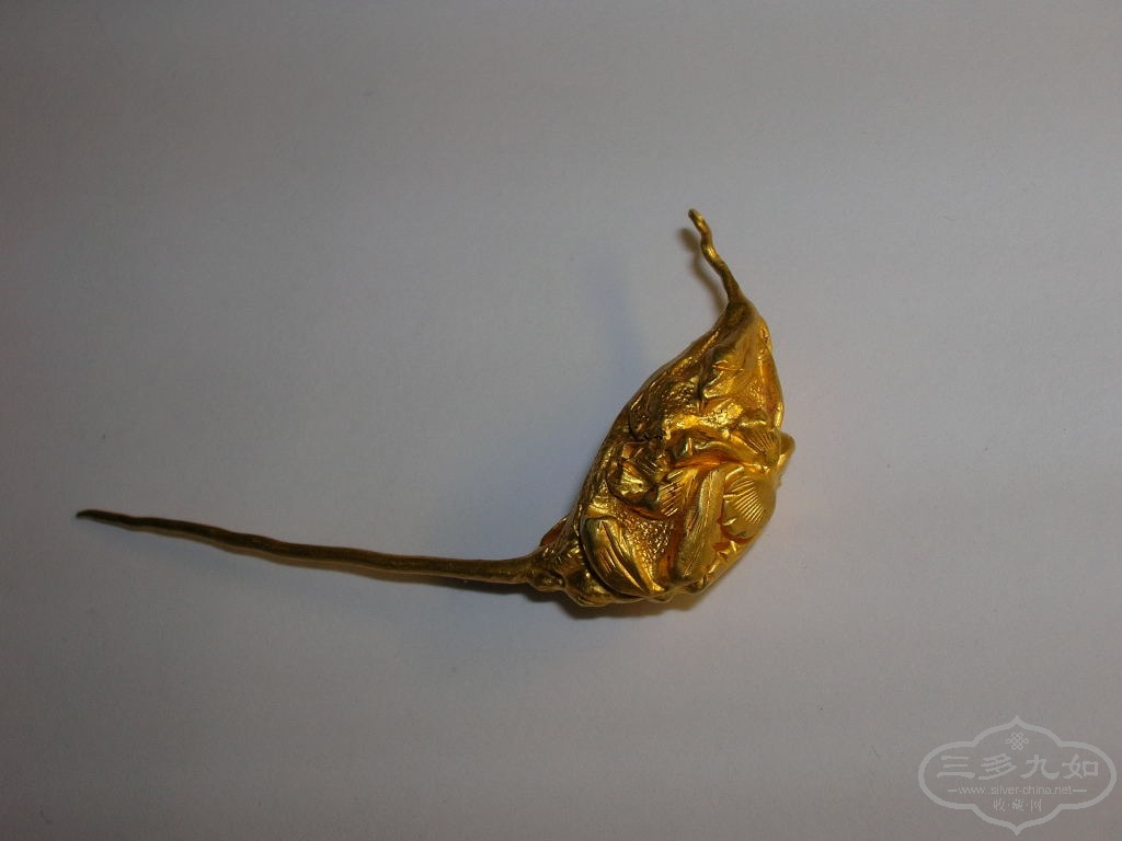 DSCN9576.JPG