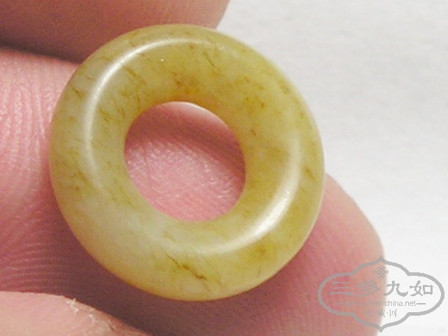 P1010023.jpg