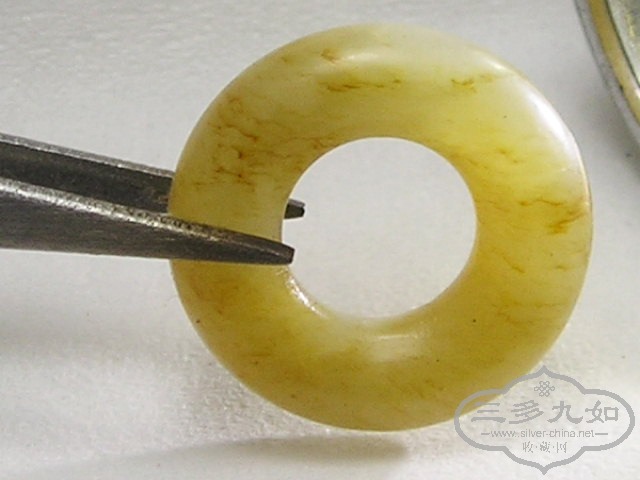 P1010029.jpg