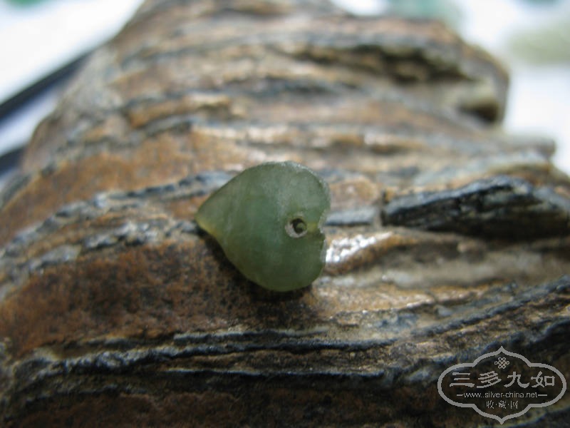 IMG_4292.JPG