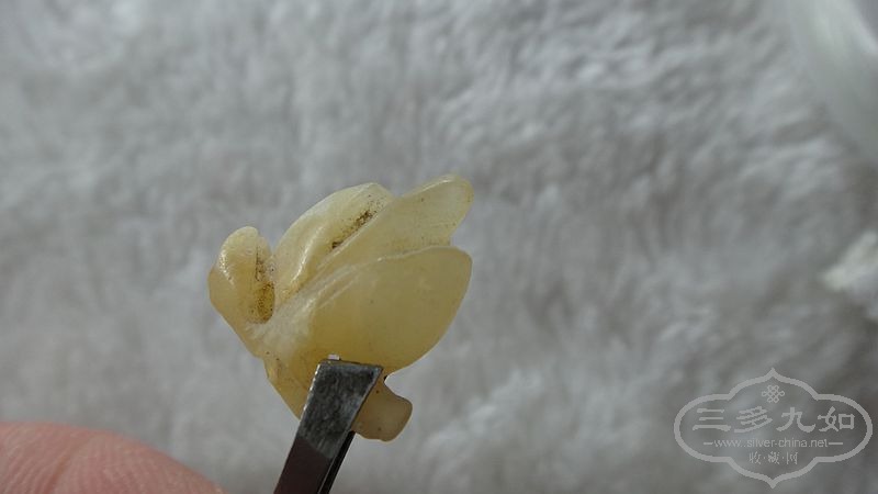 DSC09880.JPG