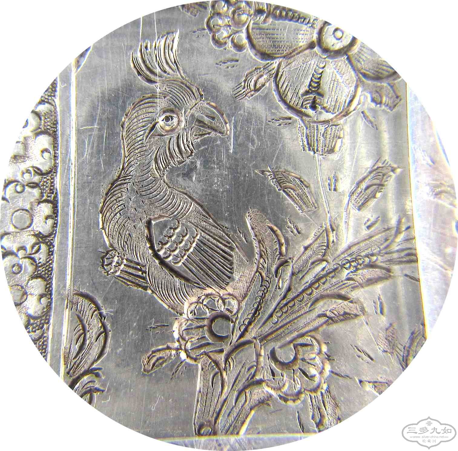 parrot-1.jpg