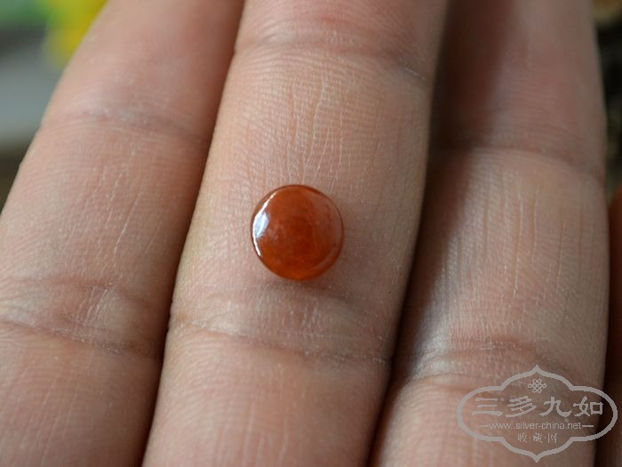 DSC_2006.jpg