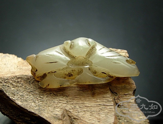 DSCN3756.jpg