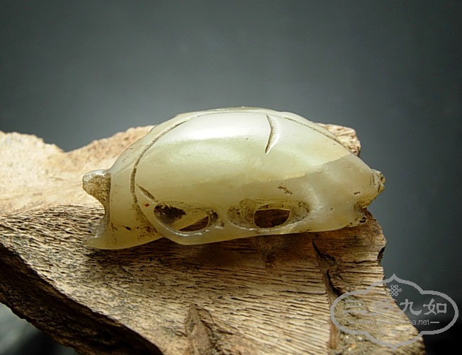 DSCN3757.jpg