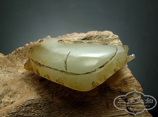 DSCN3758.jpg