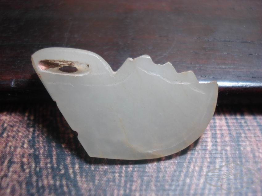 DSC00210.JPG