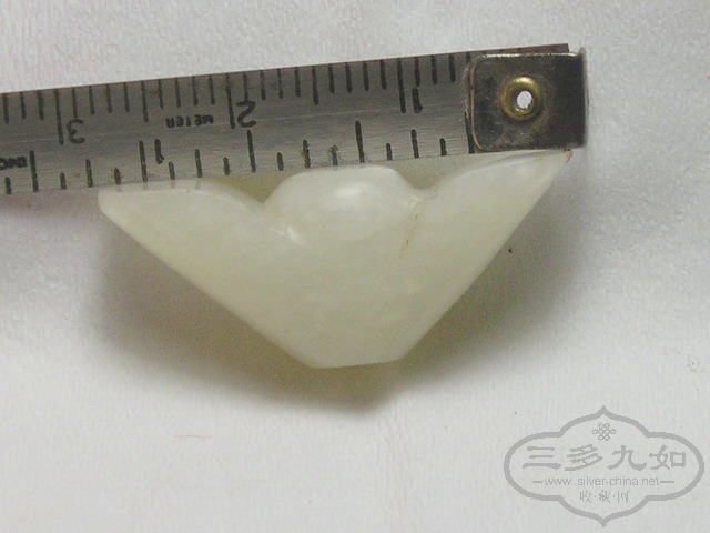 P1010071.jpg