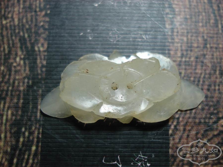 DSC01213.JPG