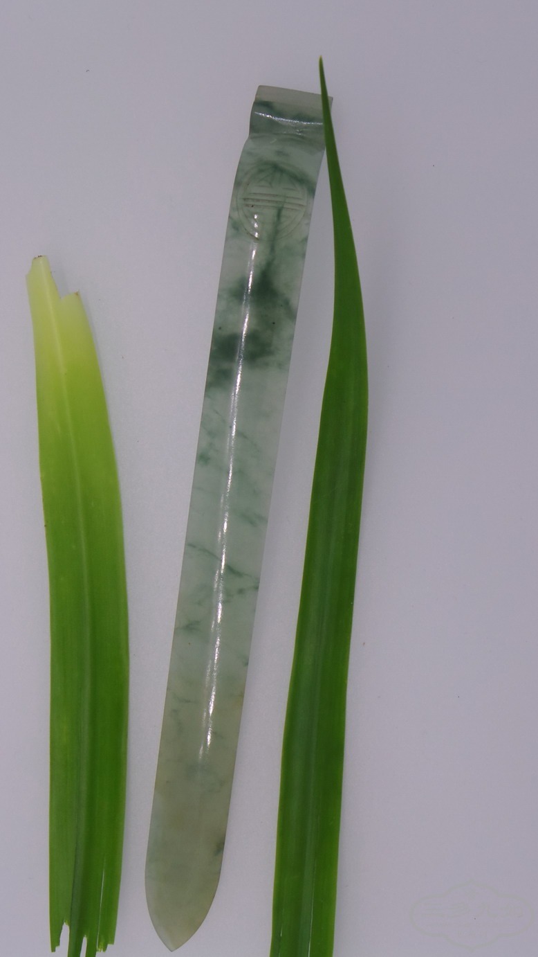 20120121_024545.jpg