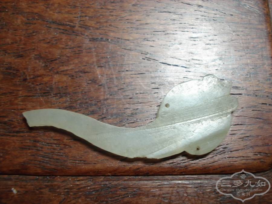 DSC02135.JPG