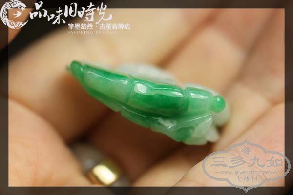 zhujie4.jpg