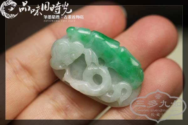 zhujie5.jpg