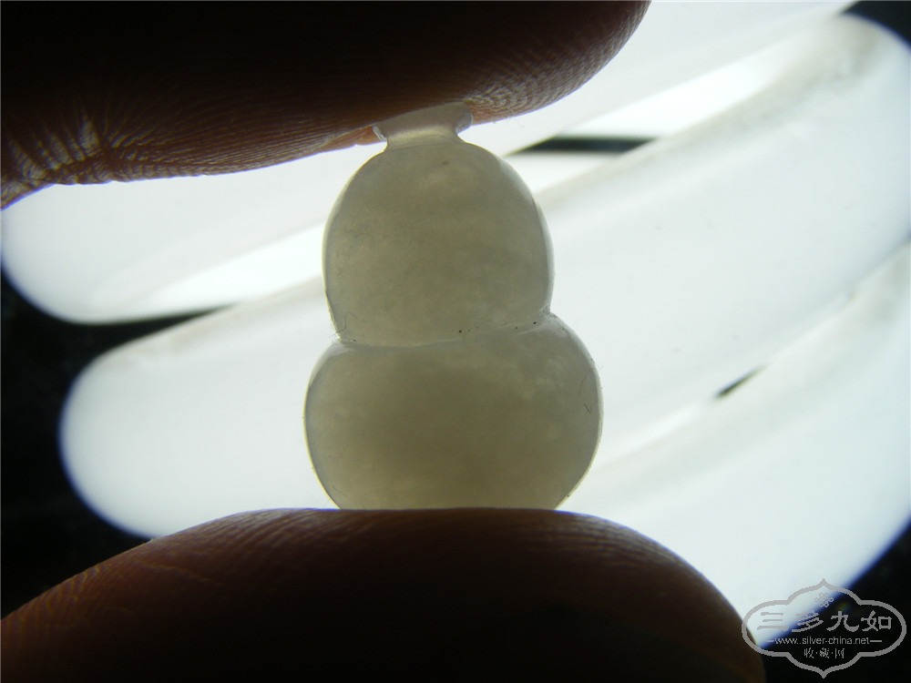 DSCF7336.jpg