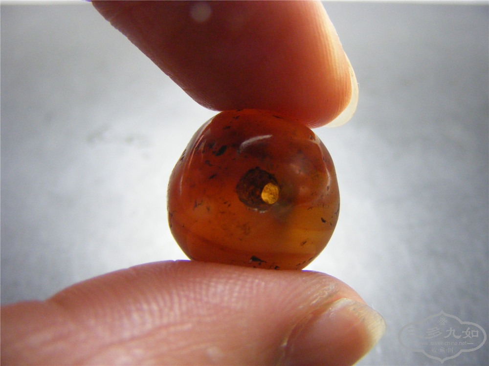 DSCF6027.jpg
