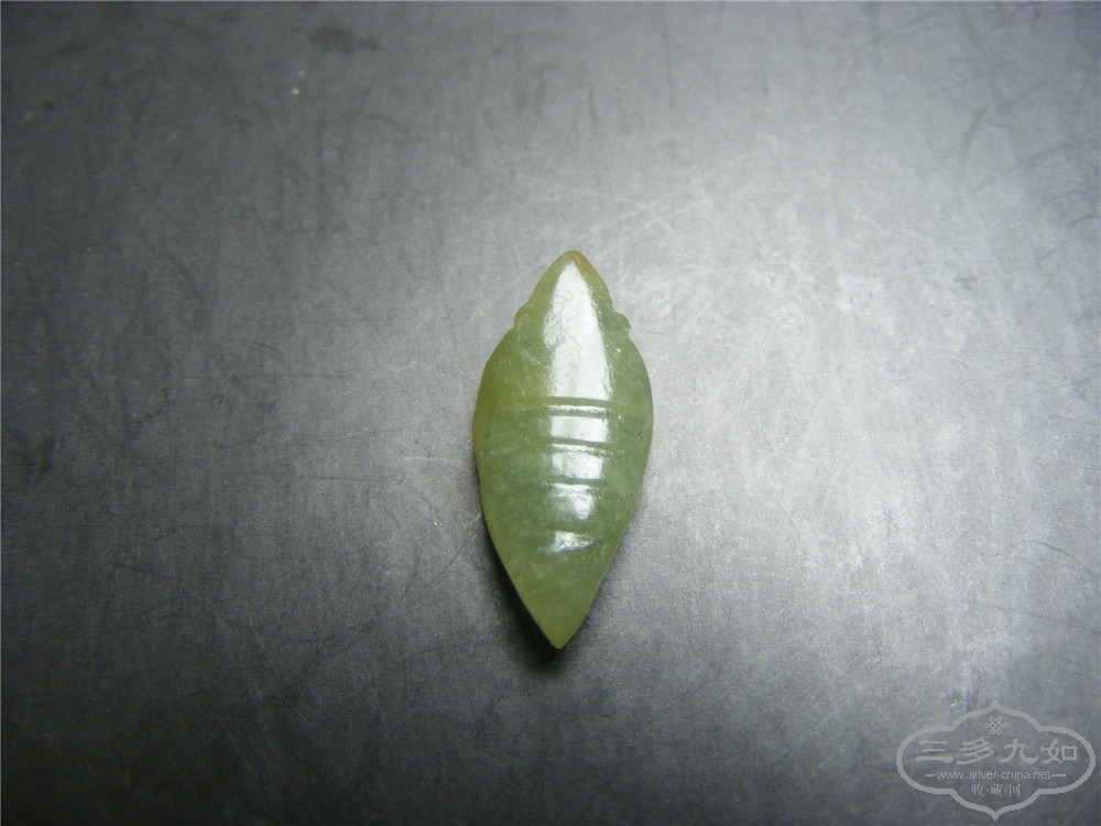 DSCF6554.jpg