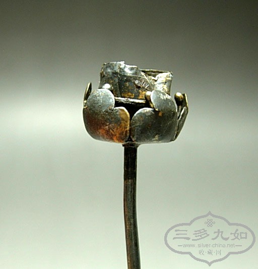 DSCN6570.jpg