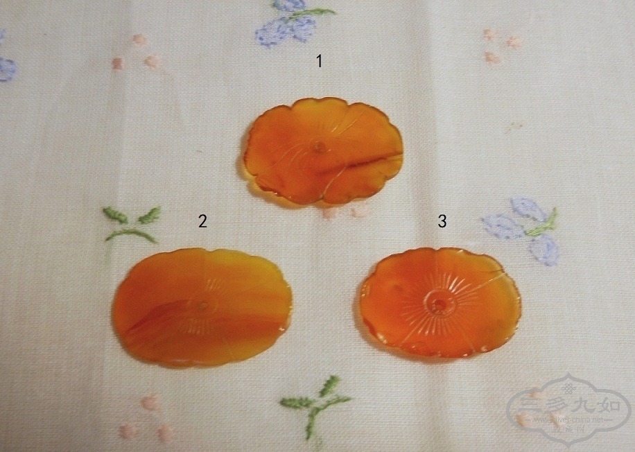 DSCN5720.jpg