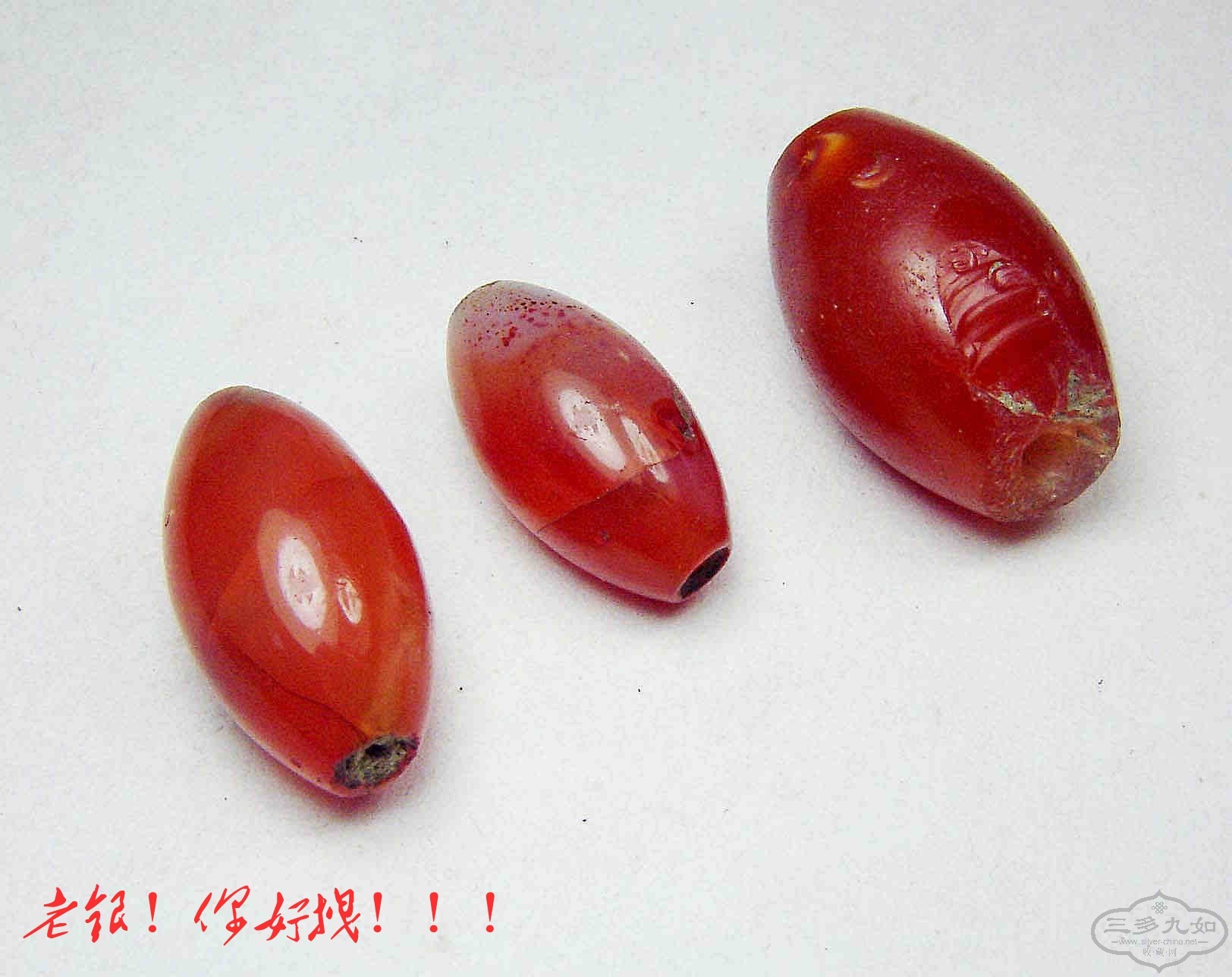 conew_dsc01968.jpg