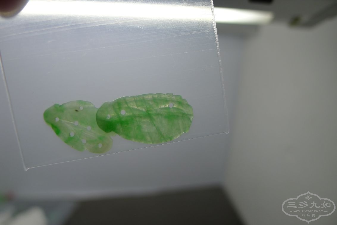 P1120272.jpg