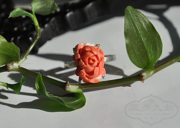 DSC_1526_.jpg