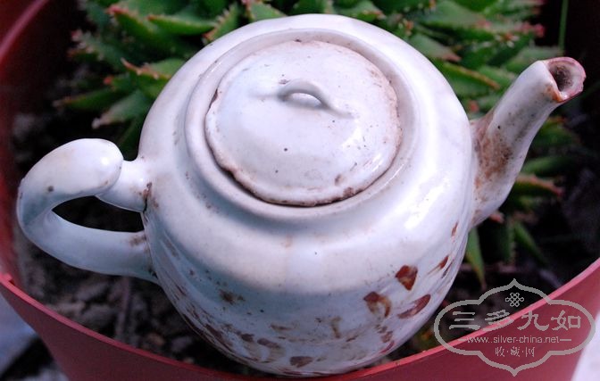 DSC_0266_����.jpg