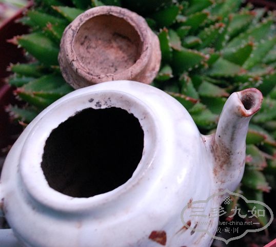 DSC_0269_����.jpg