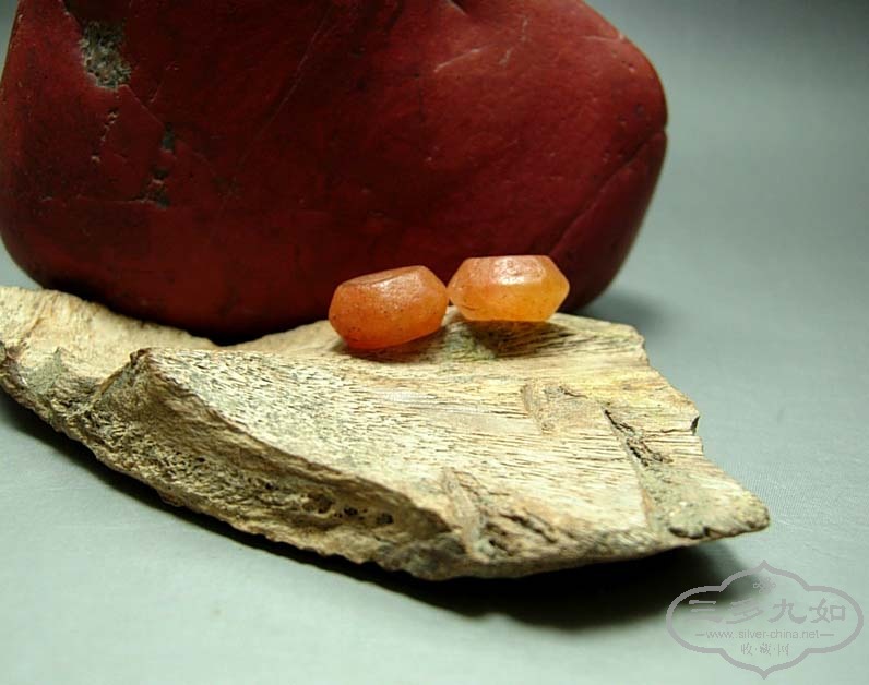 DSCN4813.jpg